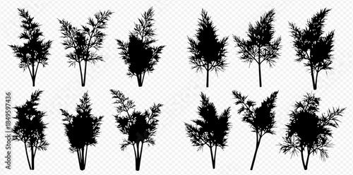 Set of various black silhouettes of dill, parsley, and other herbs on a transparent background.