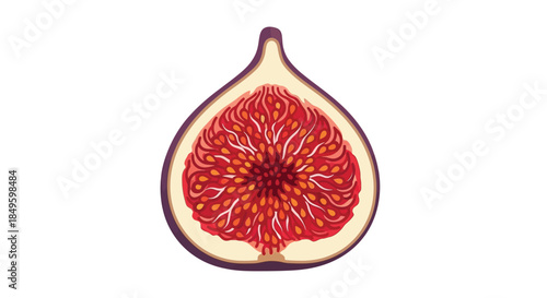 Fresh Fig Half Isolated on White Background with Vibrant Red Flesh.