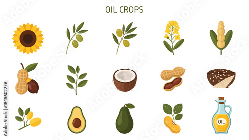 An illustration of fifteen different oil crops and an oil bottle