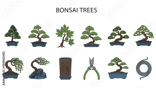 Collection of ten stylized illustrations of bonsai trees tools and supplies