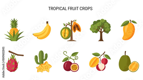 Illustration of ten tropical fruit crops arranged in two rows