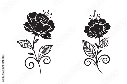 decorative flower silhouette with white background