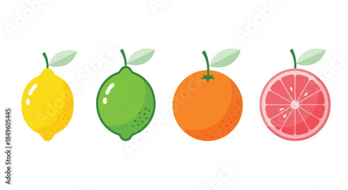 Vibrant Citrus Fruits - Lemon, Lime, Orange, and Grapefruit.