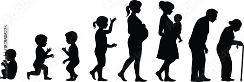 Silhouettes illustrating human life stages from infancy to old age vector illustration