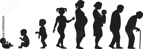 Silhouettes of Human Life Stages from Baby to Elderly untitled