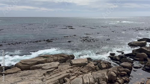 Rocky shoreline in Sea Point near Cape Town.