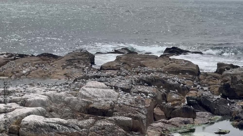 Rocky outcrops in Sea Point, Cape Town.
