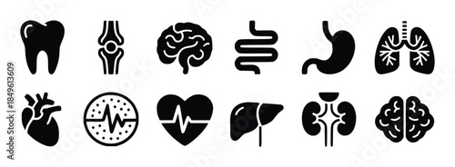 Collection of black human organ including tooth knee brain intestines stomach lungs heart liver kidneys