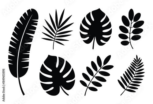 Collection of black silhouette tropical plant leaves a white leaf