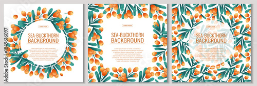 A set of colorful backgrounds with sea buckthorn twigs and berries. The concept of autumn, tea drinking. Vector illustration for the design of posters, flyers, postcards and invitations
