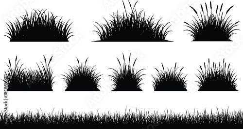 Grass silhouettes clipart set, wild grass tufts and clumps, lawn edge grass border strip, meadow vegetation vector elements for landscape design