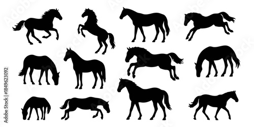 Horse Icons Set Showing Various Poses and Actions of Equine Animals
