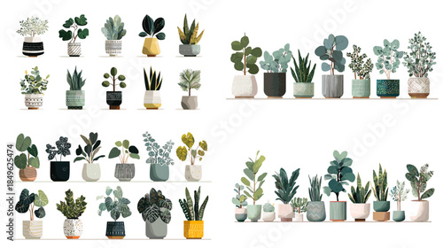 Watercolor houseplant collection with modern potted plants in soft neutral colors perfect for interior decor botanical branding nursery art and lifestyle design.