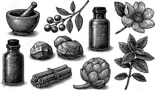Vintage Herbal Medicine Ingredients Engraving Illustration
