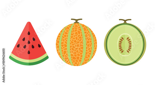 Vibrant illustration of a watermelon slice and two cantaloupe melons.