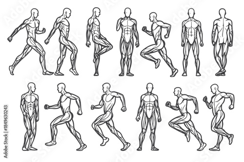 man demonstrating muscle building and fitness techniques