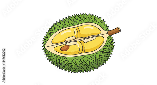 Delicious Durian Fruit Halved Revealing Creamy Yellow Flesh.