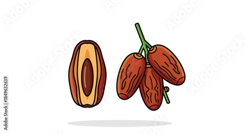 Fresh and Delicious Dates Fruit Illustration.