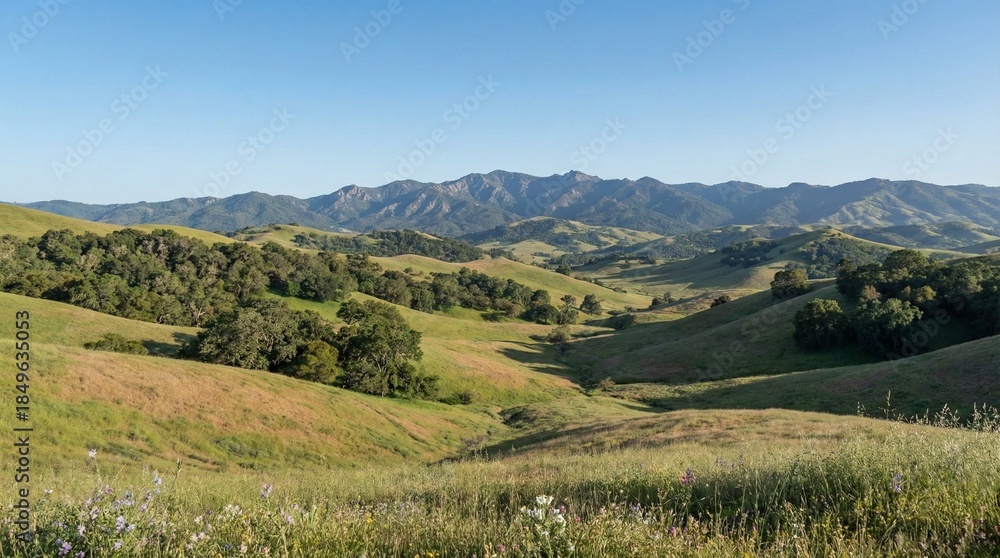 Naklejka premium Countryside landscape with green fields