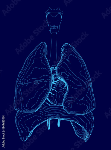 A detailed blue x-ray of the lungs highlights the anatomy, including the heart, diaphragm, and trachea contour.