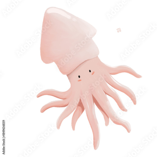 pink squid on a white background
