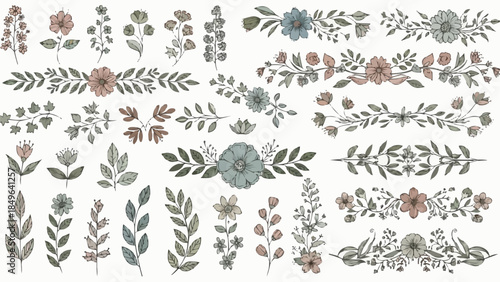 Elegant Floral Botanical Elements and Decorative Borders.