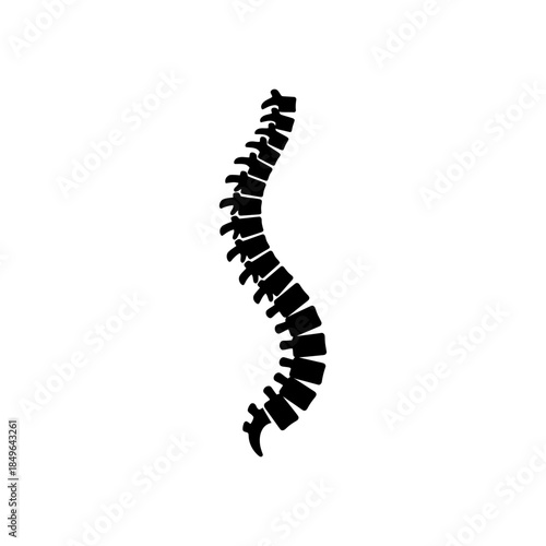 A black silhouette of a human spine on a for medical or health concepts