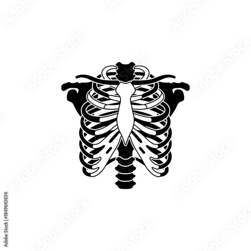 A black and white illustration of a human ribcage on isolated