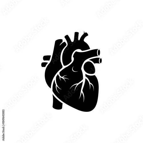 A black silhouette of a human heart with white veins on a pure