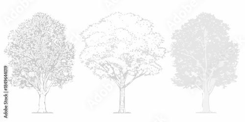 Three trees in varying shades of gray depicted in a simple sketch style