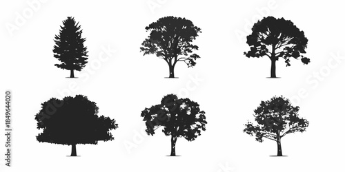 Silhouettes of various tree types against a plain white background