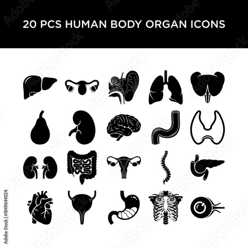 Set of 20 human body organ icons in black silhouette on for medical use
