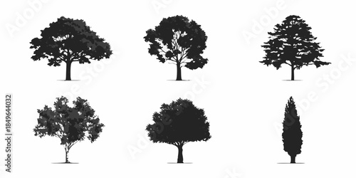 Silhouettes of various trees and foliage in a black and white illustration