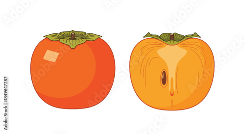 Fresh Ripe Persimmon Fruit Whole and Halved Illustration.