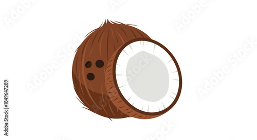 Fresh Coconut Halved Isolated on White Background.