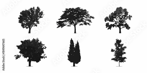 Silhouette collection of various tree types against a plain white background