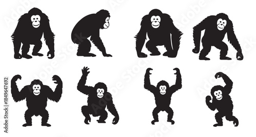 nine orangutan silhouettes various poses black white 