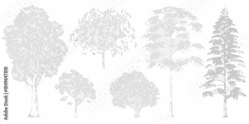 A collection of grayscale tree silhouettes in varying shapes and sizes