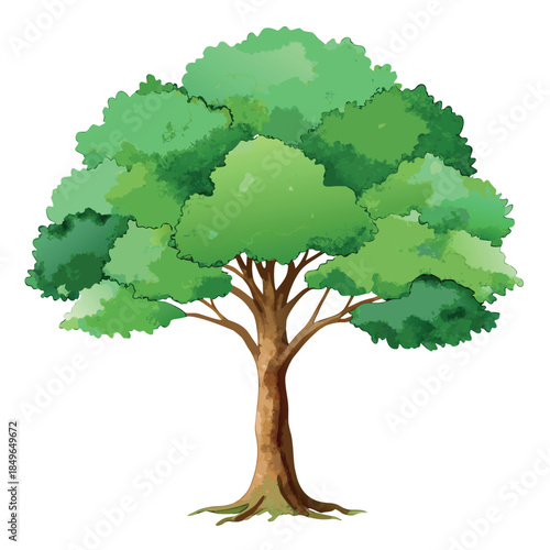A lush green tree with a wide leafy canopy and brown trunk, illustrated in a soft watercolor vector style on a white background.