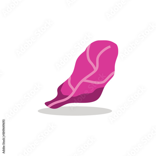 Vector illustration logo of purple cabbage, suitable for farm logo, healthy food symbol or food blog logo.