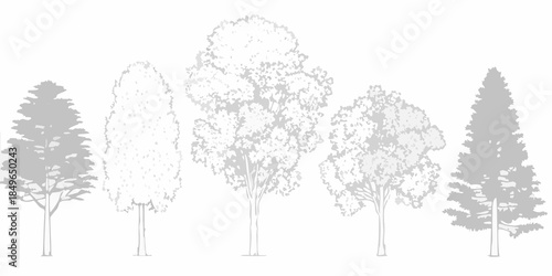 A grayscale illustration depicting five different types of trees in a row