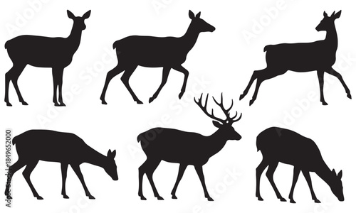 Deer silhouettes in various poses on white background
