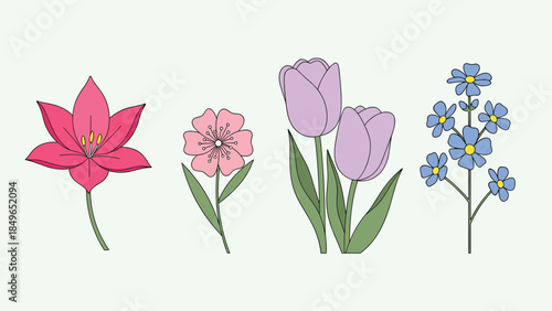 Colorful Spring Flowers Collection Vector Illustration
