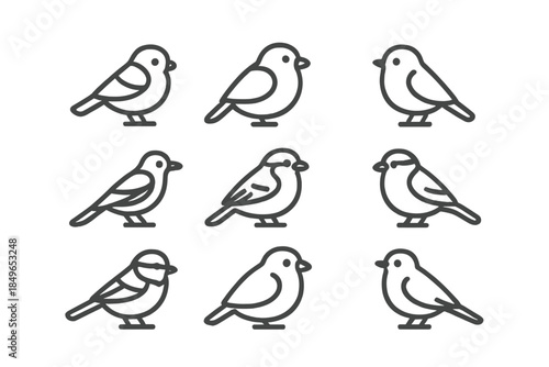 Nine cute cartoon birds arranged in a 3x3 grid