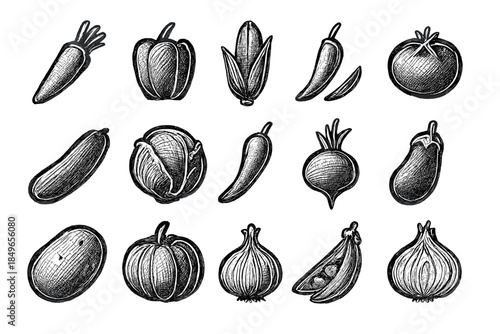 Vintage Vegetable Illustrations on Dark Background