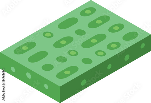 Photosynthesis process representation showing cells containing chlorophyll, useful for biology and science education