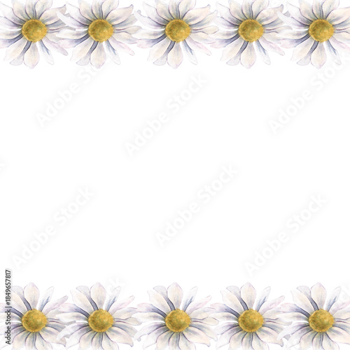 Square frame with chrysanthemums. Hand-painted watercolor botanical illustration isolated on white background for invitations, branding, packaging, cards, wedding design, elegant botanical projects