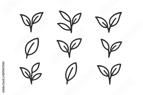 Minimalist leaf outlines on a grey background