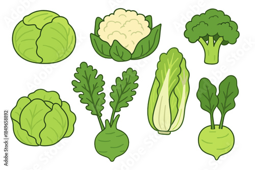 Collection of Brassica Vegetables on a Green Background