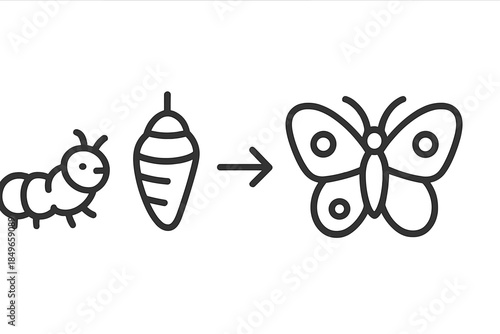 Butterfly Metamorphosis Icon